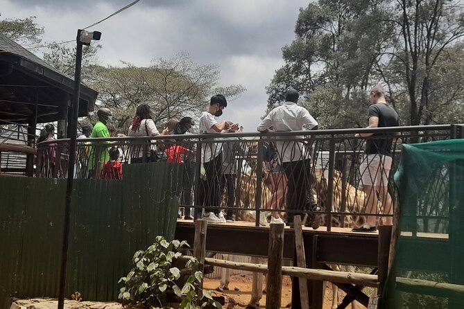 Day Tour to Nairobi national park, Elephants, and Giraffe Center - Who will get the most from this outing