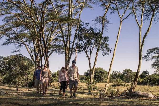 Day Tour to Ol Pejeta Conservancy - How much value do you get for $383.12?