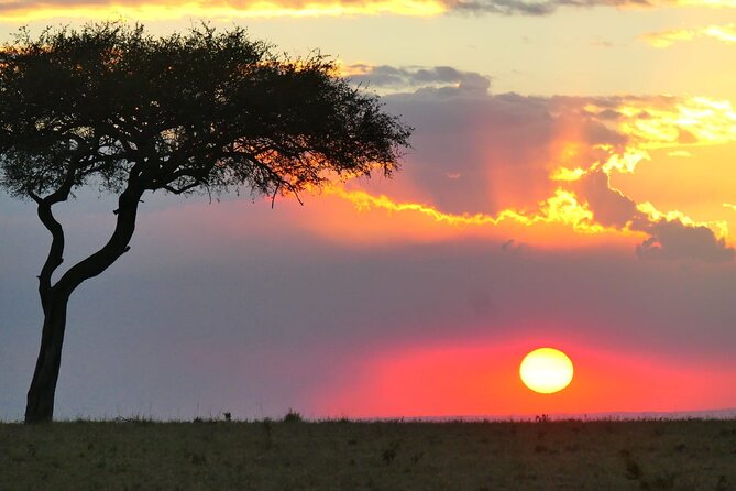 Day Tour to Tsavo East National Park from Mombasa or Diani - Lunch at Voi Safari Lodge