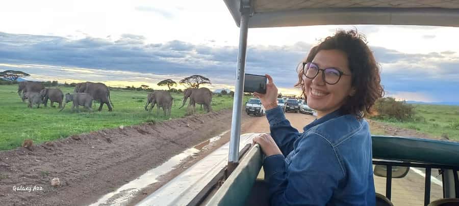 Day trip amboseli national park from nairobi budget safari. - The game drive: elephants, lions, and open plains