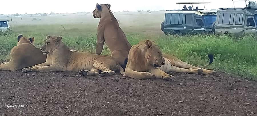 Day trip amboseli national park from nairobi budget safari. - The Maasai village visit
