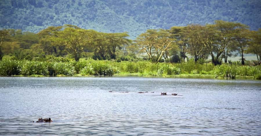 Day Trip: Hell's Gate Bike Ride & Lake Naivasha Boat Ride - Walking through Hell’s Gate Gorge