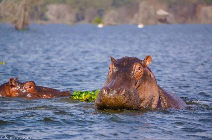 Day trip lake Naivasha and Hells gate - What to bring and what to confirm