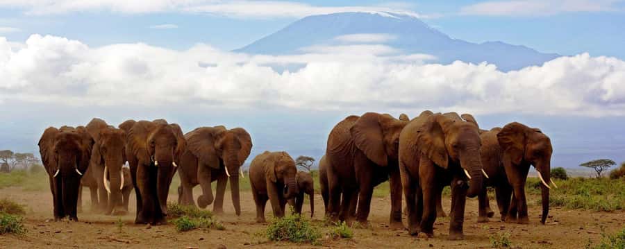 Day Trip to Amboseli National Park from Nairobi. - Entering Amboseli in a pop-up-roof 4WD