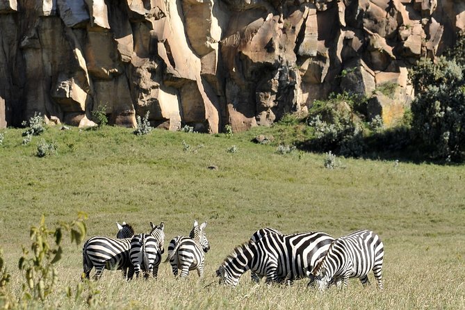 Day Trip To Crescent Island And Hells Gate National Park - Should you book the Crescent Island and Hell’s Gate trip?