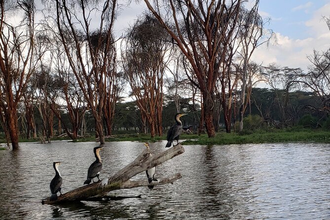 Day trip to Hells Gate National Park with boat ride on Lake Naivasha - Why Hell’s Gate makes this day trip different