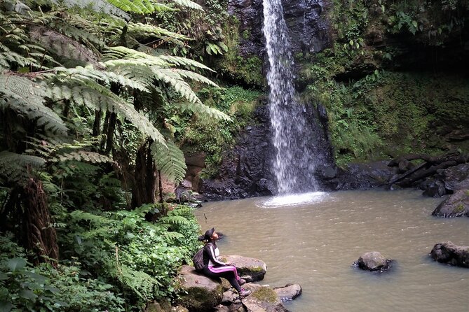 Day Trip to Kereita Forest and Ziplining - A forest with a difficult colonial past