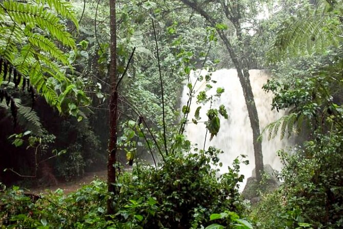 Day Trip to Kereita Forest and Ziplining - Who will get the most from this day?
