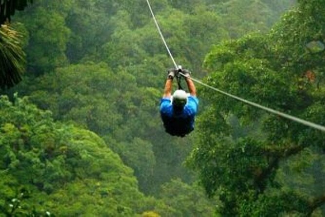 Day Trip to Kereita Forest and Ziplining - A bubbling spring at the Carbacid Forest Gate