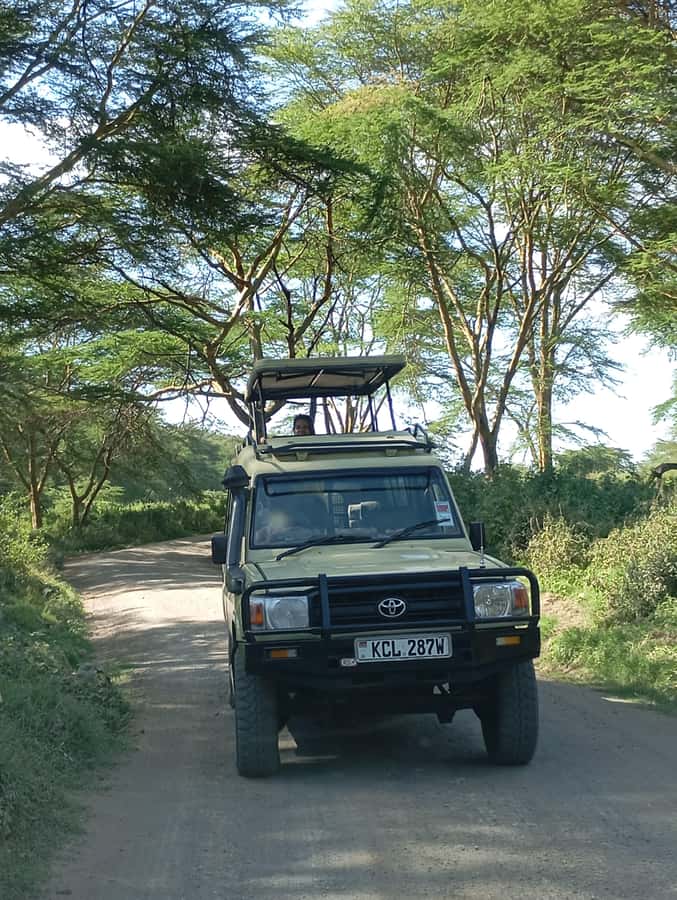 Day Trip to Lake Nakuru National Park from Nairobi - What You Might See on the Game Drive