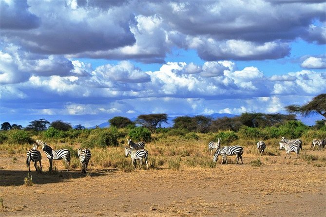 Day Trip - Tsavo East National Park ( Man Eater Lions of Tsavo & Other Big Five) - Entering Tsavo East through dry open country