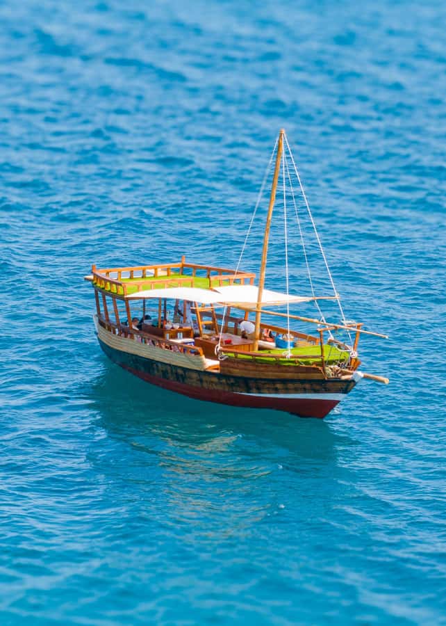 Dhow Adventure to Wasini Island & Kisite Marine Park - Who Will Enjoy This Most