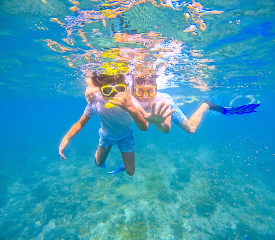 Dhow Adventure to Wasini Island & Kisite Marine Park - Is $128 a Fair Price?