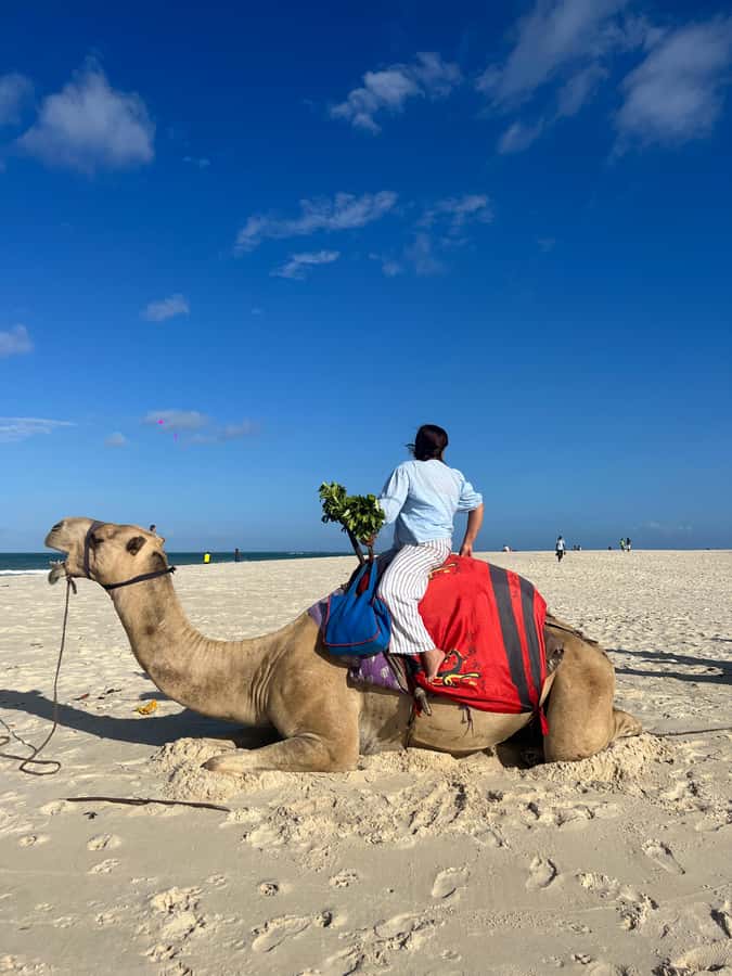 DIANI: BEACH CAMEL RIDE - Key points at a glance