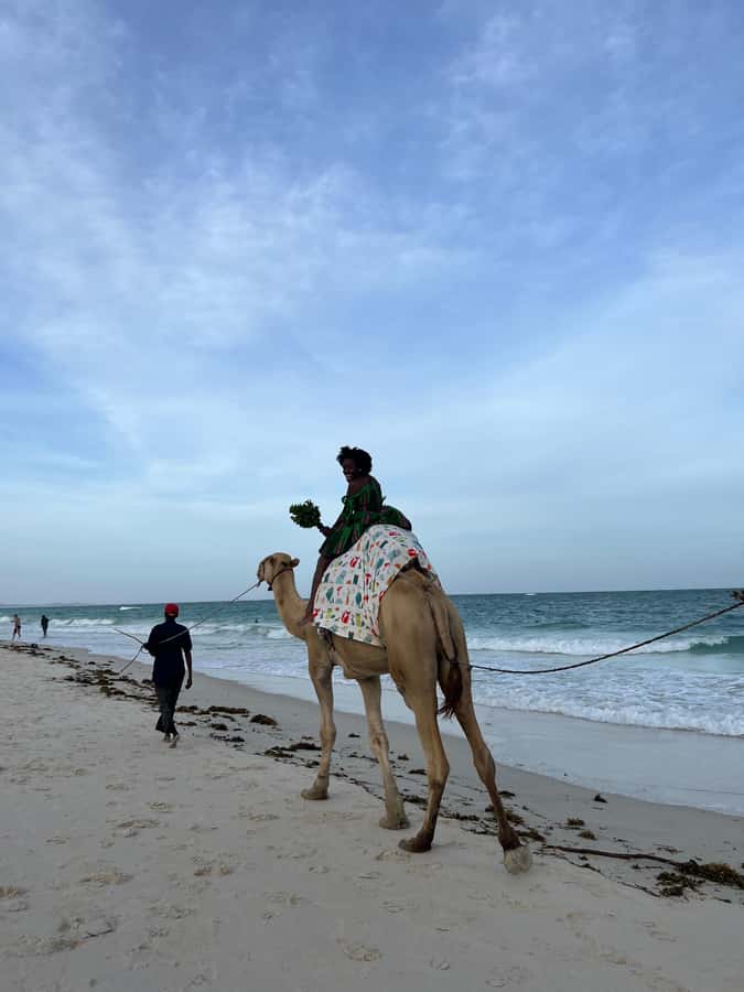 DIANI: BEACH CAMEL RIDE - Meeting at Kongo Mosque