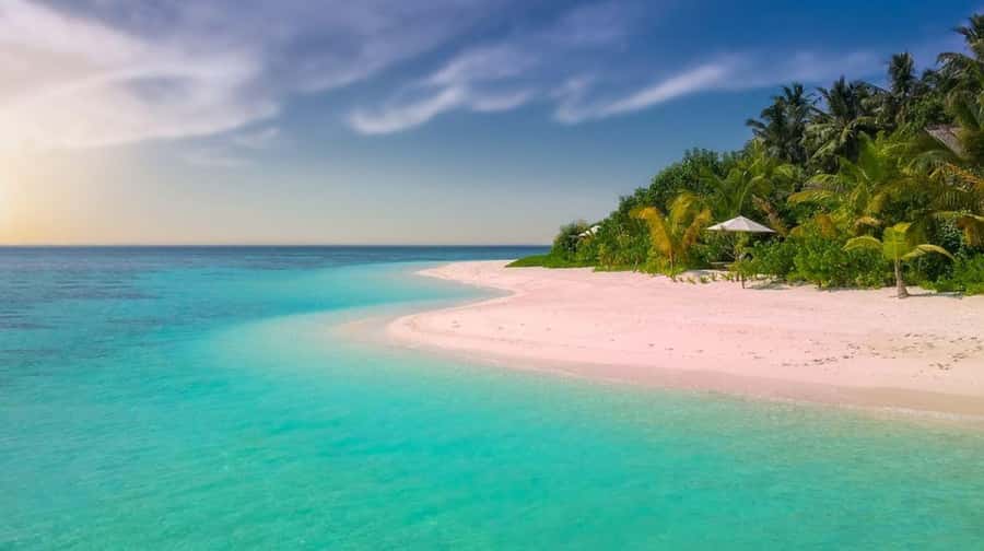 Diani Beach: Funzi Island Day Trip with Lunch - Key points at a glance