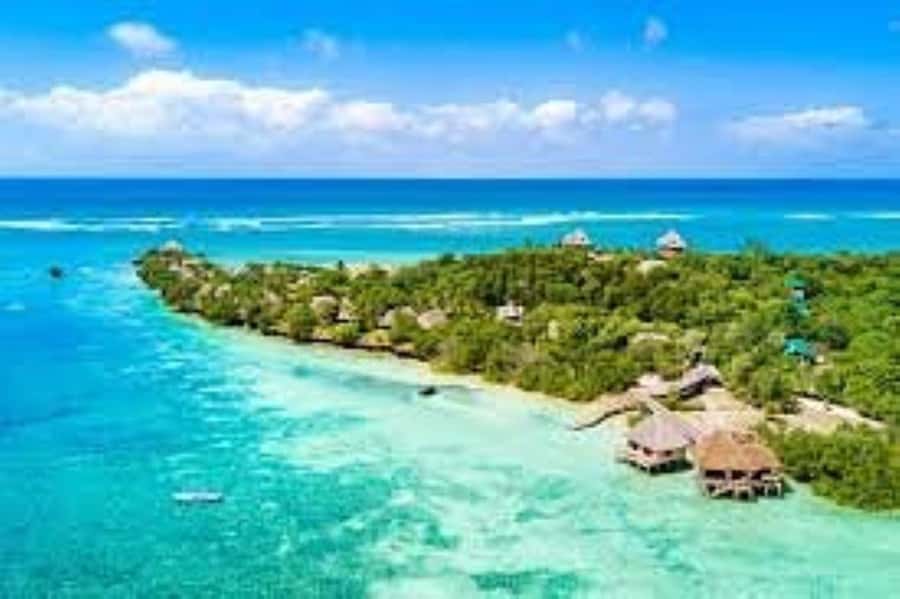 Diani Beach: Funzi Island Day Trip with Lunch - The Funzi Sandbank and its changing shoreline