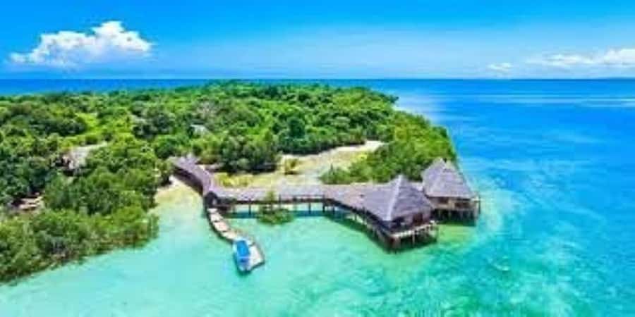 Diani Beach: Funzi Island Day Trip with Lunch - Practical tips for a smoother day