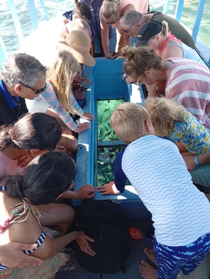 Diani Beach: Glass-Bottom Boat Cruise to Robinson Island - Quick reasons to choose this boat trip