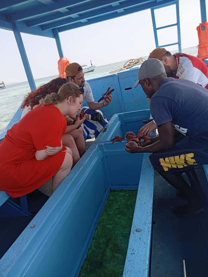 Diani Beach: Glass-Bottom Boat Cruise to Robinson Island - Why the glass-bottom show is the main event