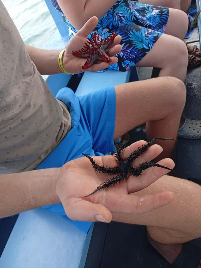 Diani Beach: Glass-Bottom Boat Cruise to Robinson Island - The five-minute safety briefing