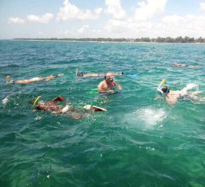 Glass-Bottom Boat Cruise to Robinson Island
