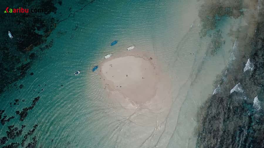 Diani Beach: Glass-Bottom Boat Cruise to Robinson Island - Cruising from Diani Beach to Robinson Island