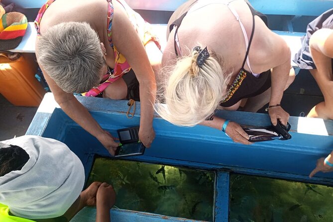 Diani Beach: Glass-bottom Boat Ride with Underwater Show - The fish show beneath Diani’s glass floor
