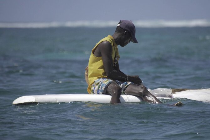 Diani Beach: Glass-bottom Boat Ride with Underwater Show - Time on the sand bank