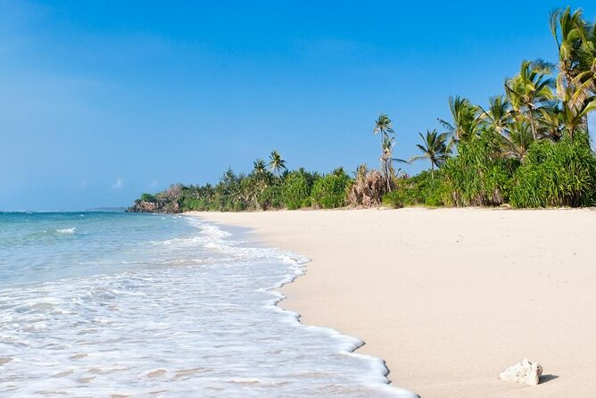 Diani Beach: Glass-bottom Boat Ride with Underwater Show - Is $30 good value?