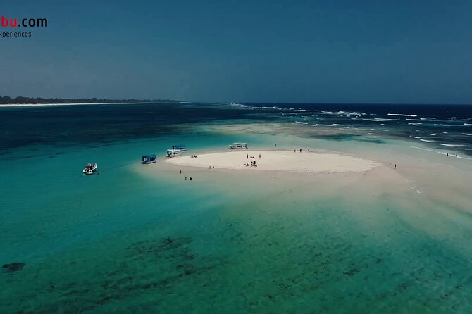Diani Beach: Glass-bottom Boat Ride with Underwater Show - Who will enjoy this boat trip most?