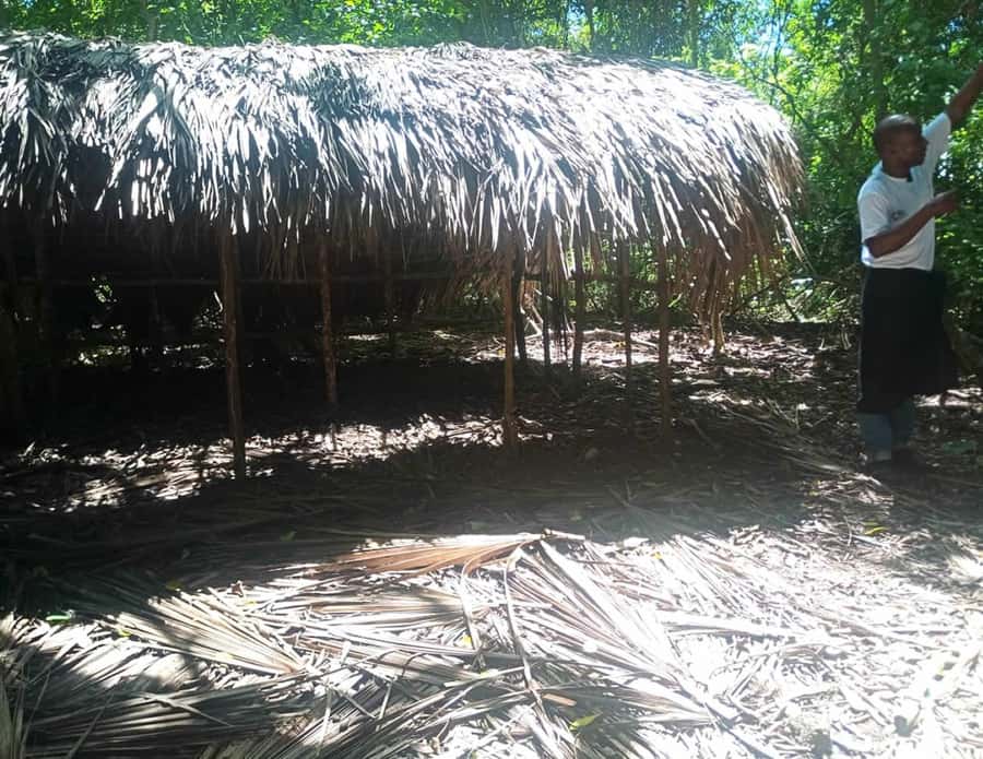 Diani Beach: Kaya Kinondo cultural and nature experience - Who will enjoy Kaya Kinondo most