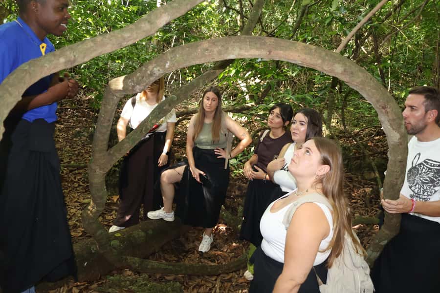 Diani Beach: Kaya Kinondo cultural and nature experience - FAQ
