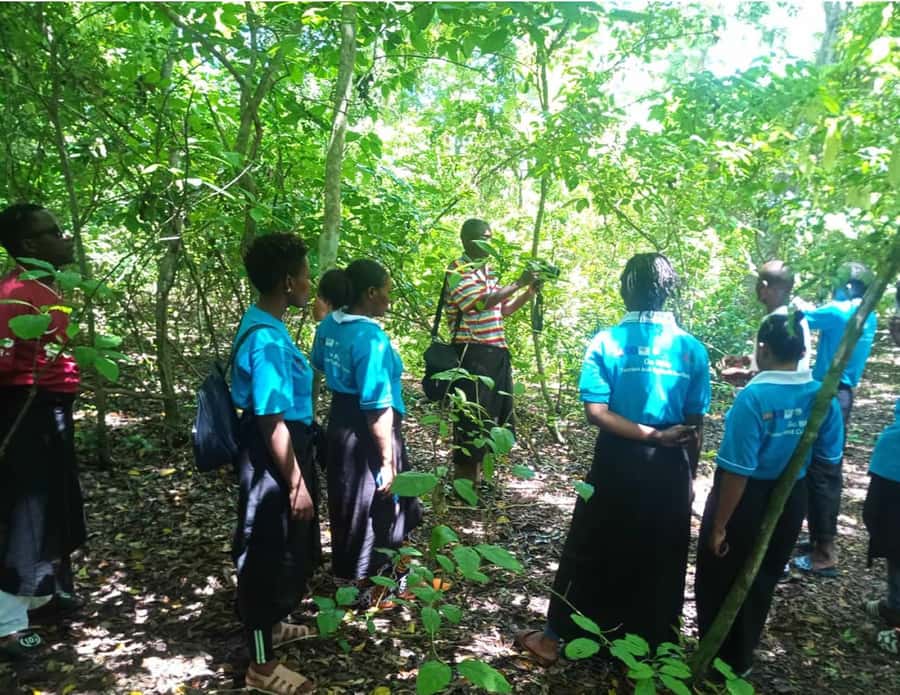 Diani Beach: Kaya Kinondo cultural and nature experience - Walking the sacred forest for 50 minutes