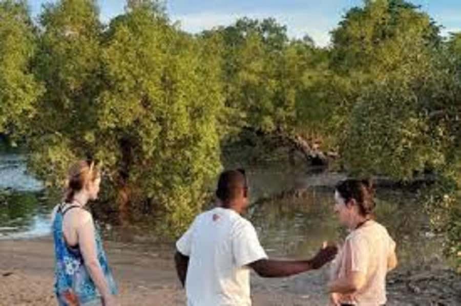 Diani Beach: Kongo River Estuary Sundowner Boat Tour - Why the Kongo River Estuary makes a good sunset outing