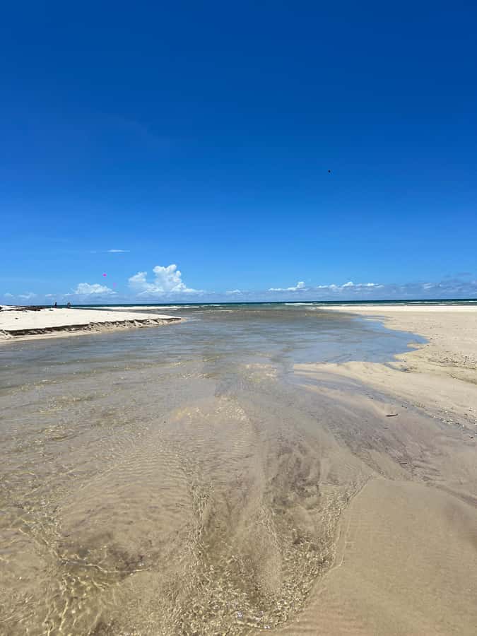 Diani Beach: Private African Pool Map Guided Tour - Walking the shore to the African Pool