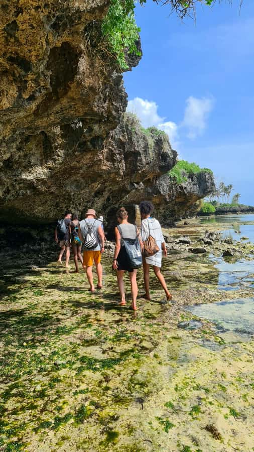 Diani Beach: Private African Pool Map Guided Tour - Caves, snorkeling, and the natural aquarium