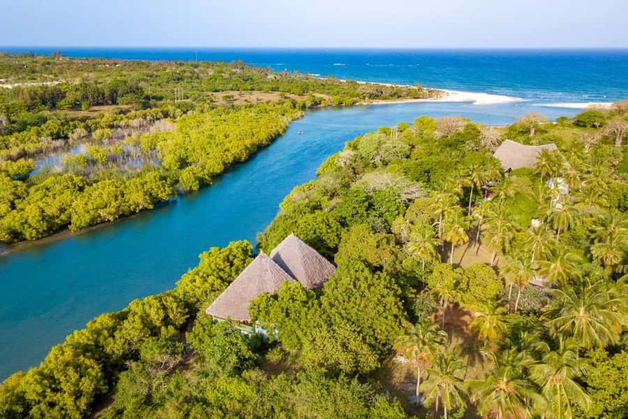 Diani Beach: Sunset Dhow Cruise with Dinner - Leaving Estuary Beach Restaurant & Bar