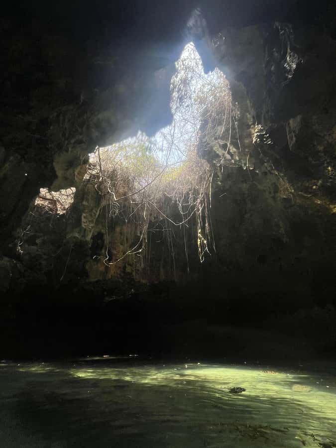 Diani: Full day Guided tour in Tiwi beach & Diani - Swimming in the Map of Africa Pool