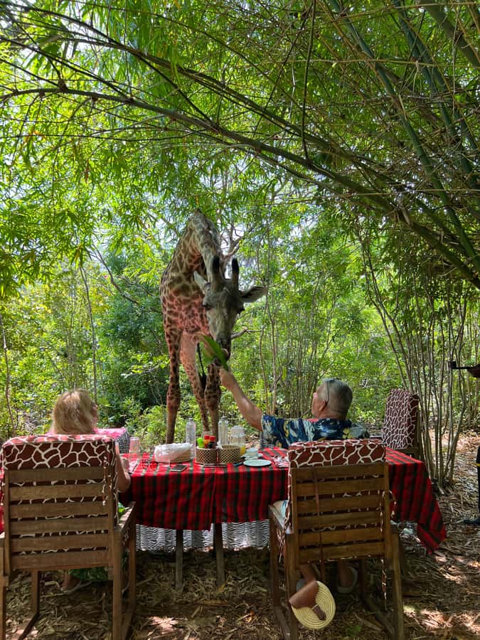 DIANI: SHARE A MEAL WITH GIRAFFES - Key points to know before booking