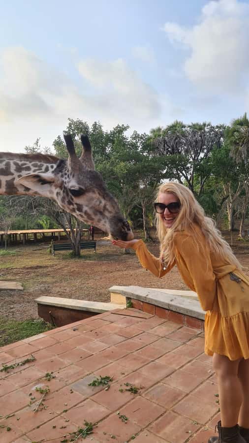 DIANI: SHARE A MEAL WITH GIRAFFES - Small details that make the outing easier