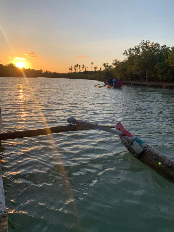 Diani: Sunset Canoe Tour along the River with Mangroves - Key points to know before you go