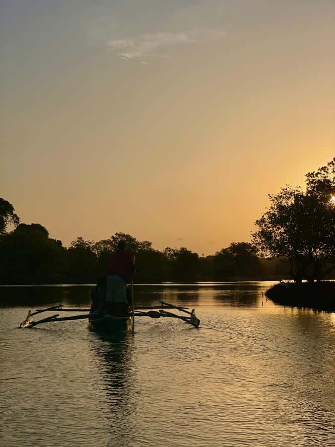 Diani: Sunset Canoe Tour along the River with Mangroves - Kongo Mosque is the gateway to a quieter side of Diani