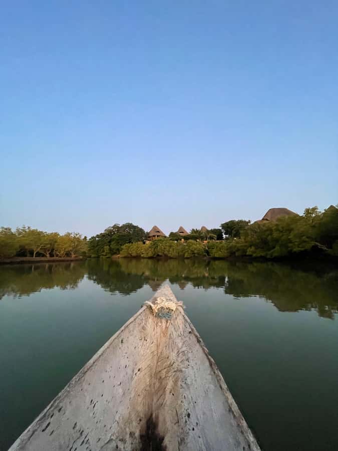 Diani: Sunset Canoe Tour along the River with Mangroves - A small tour with a useful local impact