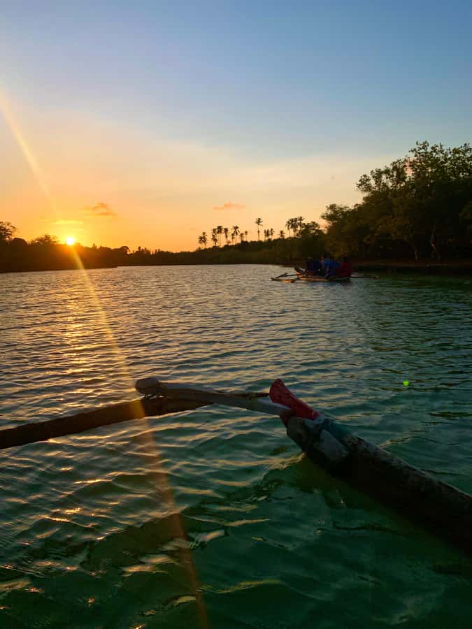 Diani: Sunset Canoe Tour along the River with Mangroves - Is $28 good value?