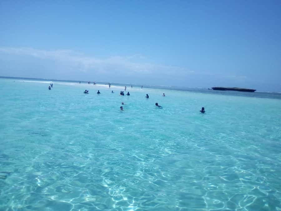 Diani: Wasini Island Dolphin Watching and Snorkeling Tour - From Diani hotels to Shimoni harbor
