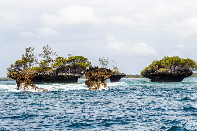 Dolphin Watch & Snorkeling at Kisite Marine Park & Wasini Island - Is $100 good value for this nine-hour day?