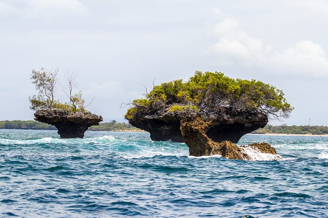 Dolphin Watch & Snorkeling at Kisite Marine Park & Wasini Island - Timing, group size, and the risk of a late finish