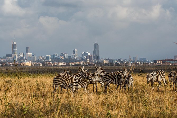 Early Nairobi Park Giraffe Centre and Optional Elephant Orphanage - Why Nairobi National Park Makes This Tour Special
