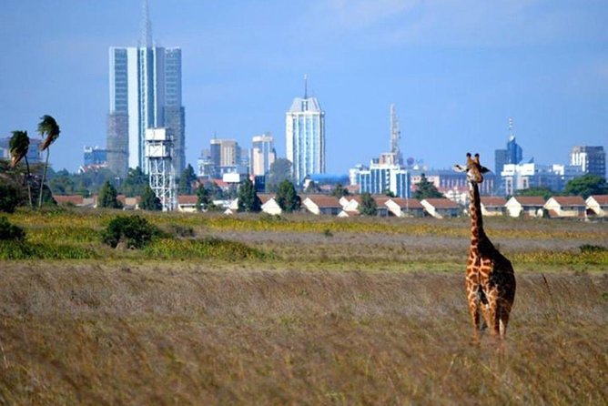 Early Nairobi Park Giraffe Centre and Optional Elephant Orphanage - What You Can See Inside the Park